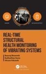 Basuraj Bhowmik, Basuraj (University College Dublin Bhowmik, Budhaditya Hazra, Vikram Pakrashi - Real-Time Structural Health Monitoring of Vibrating Systems
