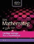 Stephen Doyle - WJEC Mathematics for A2 Level Pure & Applied: Revision Guide