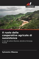 Sylvestre Mbanza - Il ruolo delle cooperative agricole di sussistenza