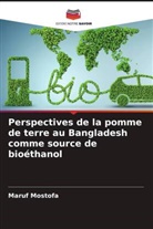 Maruf Mostofa - Perspectives de la pomme de terre au Bangladesh comme source de bioéthanol