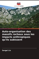 Sergei Lis - Auto-organisation des massifs rocheux sous les impacts anthropiques qu'ils subissent