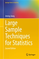 Jiming Jiang - Large Sample Techniques for Statistics