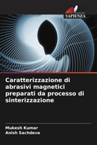 Mukesh Kumar, Anish Sachdeva - Caratterizzazione di abrasivi magnetici preparati da processo di sinterizzazione
