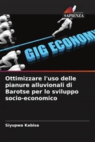 Siyupwa Kabisa - Ottimizzare l'uso delle pianure alluvionali di Barotse per lo sviluppo socio-economico