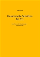 Hans Furrer - Gesammelte Schriften Bd. 2.1