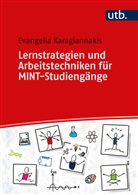 Evangelia Karagiannakis - Lernstrategien und Arbeitstechniken für MINT-Studiengänge