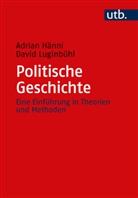 Adrian Hänni, David Luginbühl - Politische Geschichte