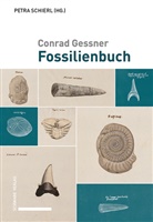 Petra Schierl - Conrad Gessner, Fossilienbuch