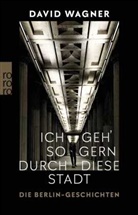 David Wagner - Ich geh' so gern durch diese Stadt