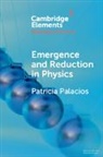 Patricia Palacios, Patricia (University of Salzburg) Palacios - Emergence and Reduction in Physics