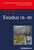 Wolfgang Oswald, Helmut Utzschneider, Adele Berlin, Erhard Blum, David M. Carr, Walter Dietrich... - Exodus 16-40