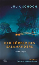 Julia Schoch - Der Körper des Salamanders