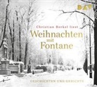 Theodor Fontane, Christian Berkel - Weihnachten mit Fontane. Geschichten und Gedichte, 1 Audio-CD (Audio book)
