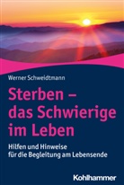 Werner Schweidtmann, Werner (Dr. rer. medic. Dr. theol.) Schweidtmann - Sterben - das Schwierige im Leben