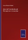 Gustav Theodor Fechner - Ueber die Physikalische und Philosophische Atomenlehre