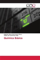 Edgardo Remo Benvenuto Pérez, Jorge Luis Contreras Vidal - Química Básica