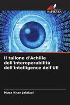 Musa Khan Jalalzai - Il tallone d'Achille dell'interoperabilità dell'intelligence dell'UE