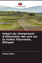 Diriba Chafo - Impact du changement d'affectation des sols sur la rivière Tikurwuha, Éthiopie