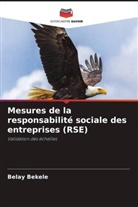 Belay Bekele - Mesures de la responsabilité sociale des entreprises (RSE)