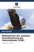 Belay Bekele - Maßnahmen der sozialen Verantwortung der Unternehmen (CSR)