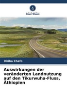 Diriba Chafo - Auswirkungen der veränderten Landnutzung auf den Tikurwuha-Fluss, Äthiopien