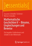 Werner Schindler, Susanne Schindler-Tschirner - Mathematische Geschichten V - Binome, Ungleichungen und Beweise