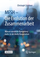 Zulehner, Christoph Zulehner - MESH - Die Evolution der Zusammenarbeit