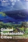 Danielle (EDT)/ Wyman Spiegel-feld, John J. Coughlin, Danielle Spiegel-Feld, Katrina Miriam Wyman - Global Sustainable Cities