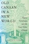 Elizabeth Fenton - Old Canaan in a New World