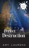 Amy Laurens - Perfect Destruction
