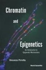 Vincenzo Pirrotta, Pirrotta Vincenzo, Vincenzo Pirrotta - Chromatin And Epigenetics: An Introduction To Epigenetic Mechanisms