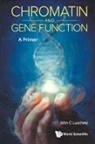 John C Lucchesi, John C Lucchesi, John C. Lucchesi - Chromatin And Gene Function: A Primer