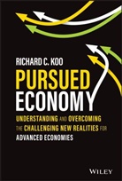 Rc Koo, Richard C Koo, Richard C. Koo, Koo Richard C. - Pursued Economy