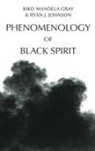 Biko Gray, Biko Johnson Gray, Mandela Biko Gray, GRAY BIKO MANDELA, Ryan J Johnson, J Ryan Johnson... - Phenomenology of Black Spirit