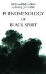 Biko Gray, Biko Johnson Gray, Mandela Biko Gray, GRAY BIKO MANDELA, Ryan J Johnson, Ryan J. Johnson... - Phenomenology of Black Spirit