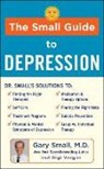 Gary Small, Gigi Vorgan - The Small Guide to Depression