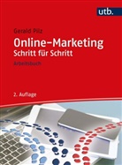 Gerald Pilz, Gerald (Dr. Dr.) Pilz - Online-Marketing Schritt für Schritt