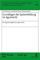 Gottfried Holzer, José Martínez, Roland Norer - Grundlagen der Systembildung im Agrarrecht