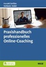 Harald Geißler, Stefanie Rödel - Praxishandbuch professionelles Online-Coaching