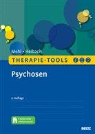 Eva Heibach, Stephanie Mehl - Therapie-Tools Psychosen, m. 1 Buch, m. 1 E-Book