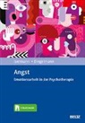 Christa Diegelmann, Margarete Isermann - Angst, m. 1 Buch, m. 1 E-Book