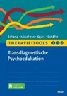 Moni Equit, Monika Equit, Monika u Equit, Hannah Mattheus, Sarah Schäfer, Christian Schanz - Therapie-Tools Transdiagnostische Psychoedukation