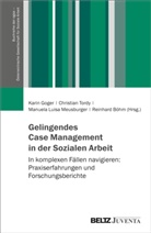 Reinhard Böhm, Karin Goger, Manuela Luisa Meusburger u a, Manu Meusburger, Manuela Luisa Meusburger, Christian Tordy - Gelingendes Case Management in der Sozialen Arbeit