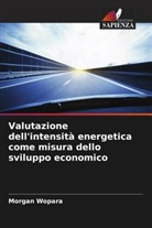 Morgan Wopara - Valutazione dell'intensità energetica come misura dello sviluppo economico