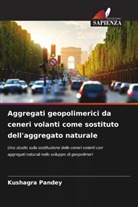 Kushagra Pandey - Aggregati geopolimerici da ceneri volanti come sostituto dell'aggregato naturale