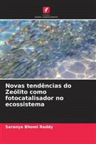 Saranya Bhomi Reddy, Maheswari Sinthalapudi Thulasiramaraja, Sathiyanarayanan Velayudham - Novas tendências do Zeólito como fotocatalisador no ecossistema