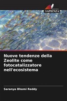 Saranya Bhomi Reddy - Nuove tendenze della Zeolite come fotocatalizzatore nell'ecosistema