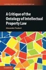 Alexander Peukert - Critique of the Ontology of Intellectual Property Law