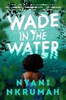 Nyaneba Nkrumah, Nyani Nkrumah - Wade in the Water
