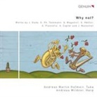 Jörg Duda, Quint Maganini, Georg Philipp Telemann - Why not ? - Musik für Tuba und Harfe, 1 Audio-CD (Audio book)